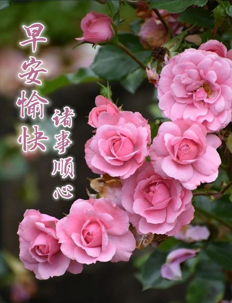 按我可連結至更清楚的圖片